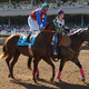 Illustration for article titled Mexican Drug Lords Launder Money Through Horse Racing, U.S. Government Alleges